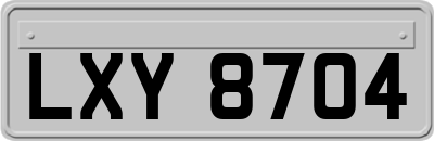 LXY8704