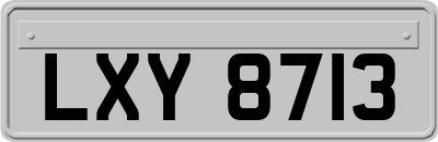 LXY8713
