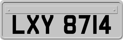 LXY8714