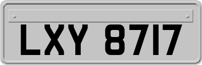 LXY8717