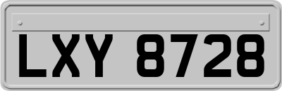 LXY8728