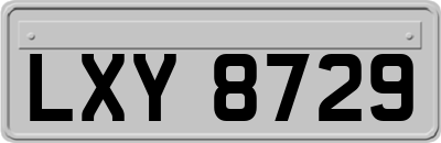 LXY8729