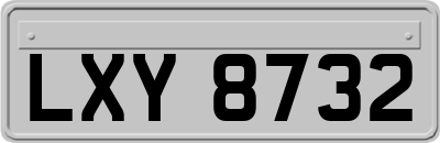 LXY8732