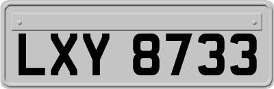 LXY8733