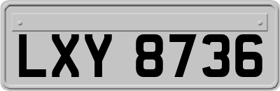 LXY8736