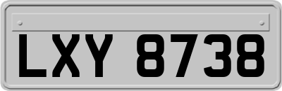 LXY8738