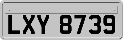 LXY8739