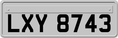 LXY8743