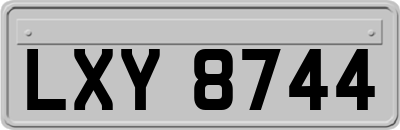 LXY8744