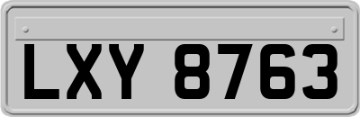 LXY8763
