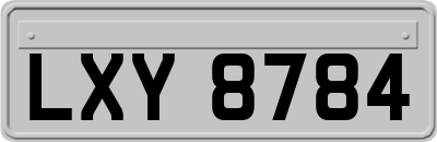 LXY8784