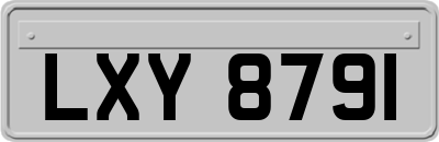 LXY8791