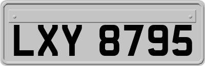 LXY8795