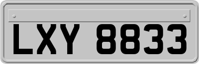 LXY8833