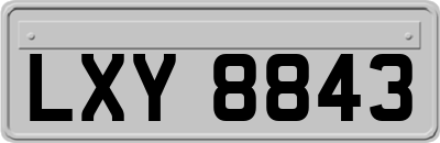 LXY8843