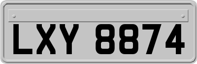 LXY8874
