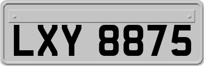 LXY8875