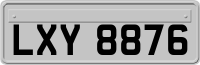 LXY8876