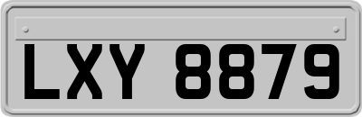 LXY8879