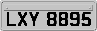 LXY8895