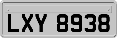 LXY8938