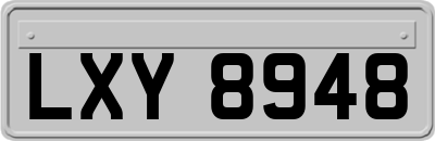 LXY8948