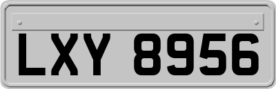 LXY8956