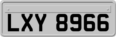 LXY8966
