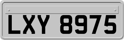 LXY8975