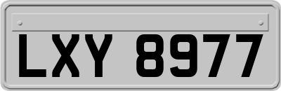 LXY8977