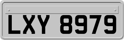 LXY8979