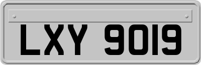 LXY9019