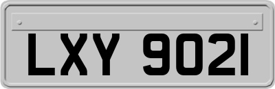 LXY9021