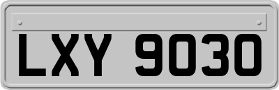 LXY9030