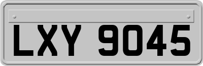 LXY9045