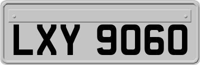 LXY9060