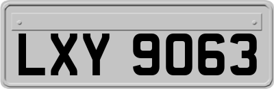 LXY9063