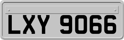 LXY9066