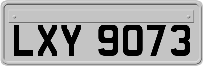 LXY9073