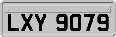LXY9079