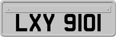 LXY9101