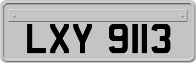 LXY9113
