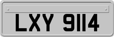 LXY9114