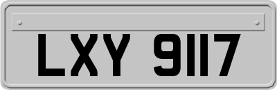 LXY9117