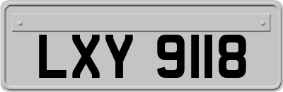 LXY9118