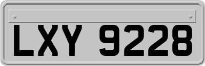 LXY9228