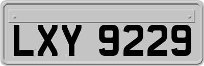 LXY9229