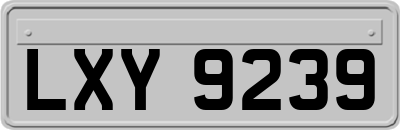 LXY9239