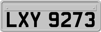 LXY9273