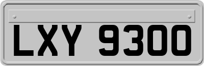 LXY9300